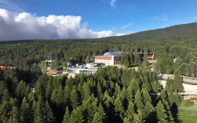 Swissotel Uludag Bursa